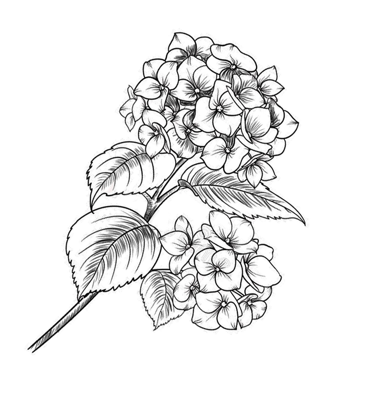 Рисунки в альбом. Фотограф на крестины