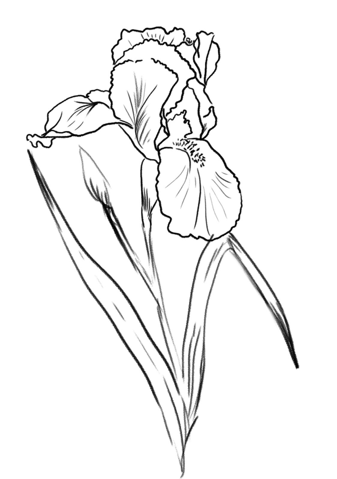 Рисунки в альбом. Фотограф на крестины