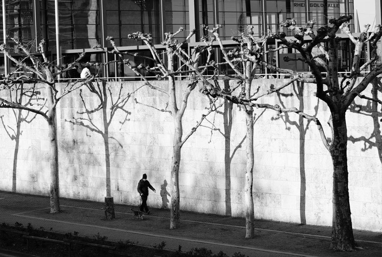 КРЫЛЬЯ творческая мастерская 25-26. Онлайн фотошкола просто о фото, фотограф, психолог фототерапия москва сочи анна ивкина