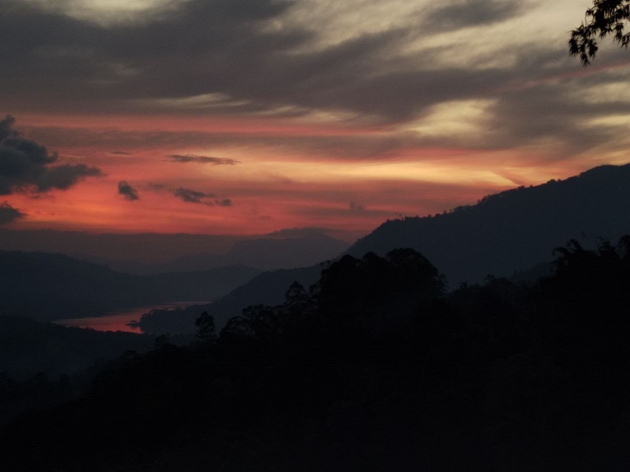 Шри-Ланка | 31.01 — 10.02.2025. Галерея Фантим