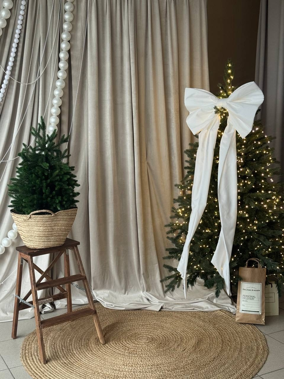 НГ 2025-2026. Фотограф НатаФото (Наталья Яковенко) Дмитров Москва Питер