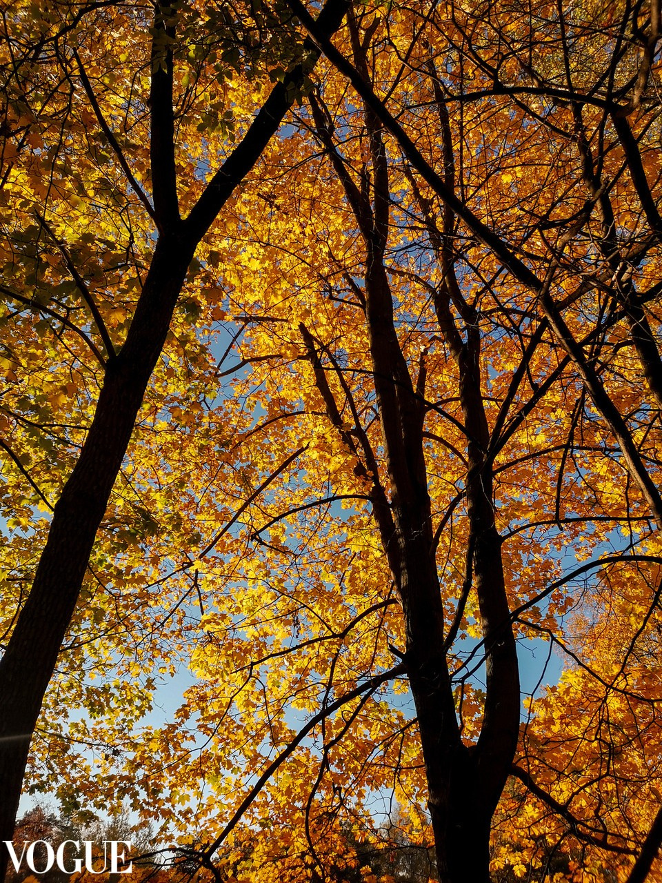 Vogue и другие. Наталия Фролова. Фотограф. Москва