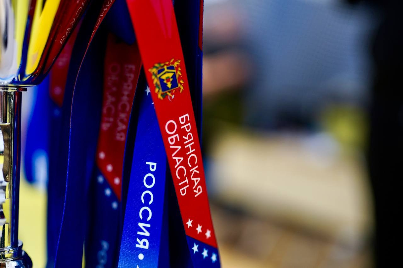 Турнир по волейболу среди девочек 13 лет, г. Брянск. Фотограф в Брянске — Анна Арутюнян