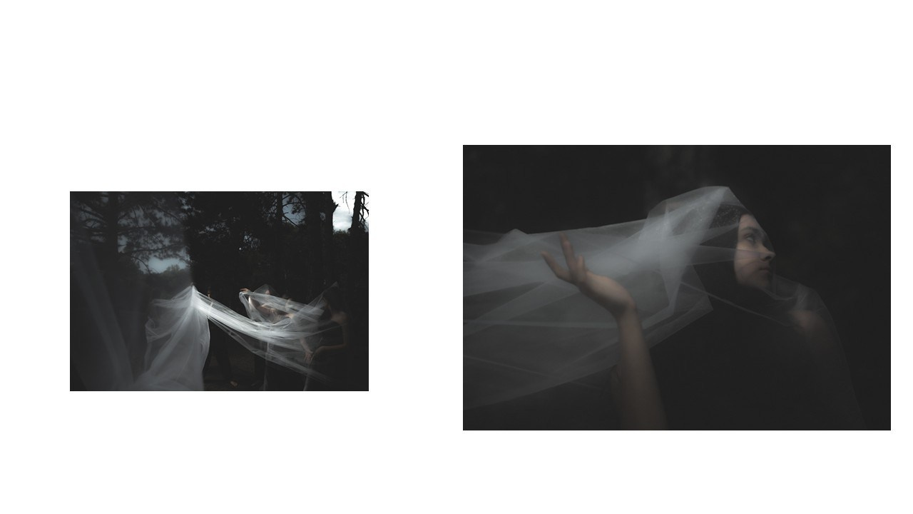 Творческие Проекты. Фото