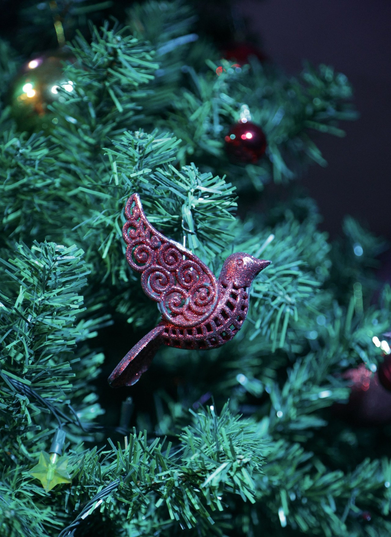 Отзывы. Фотограф Варвара Ермоленко