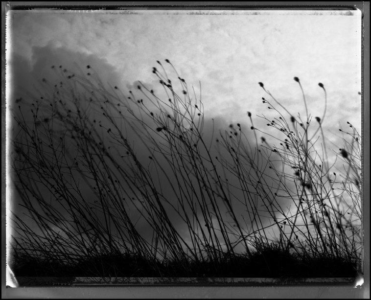 Polaroids. Gueorgui Pinkhassov