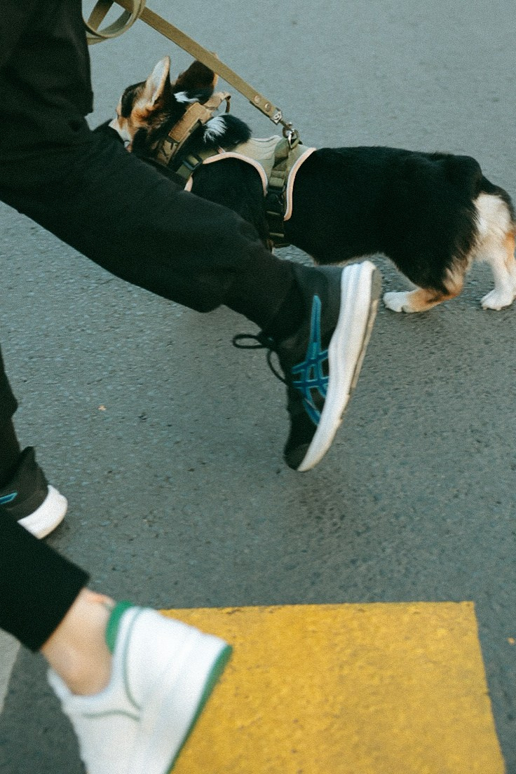 Олег Юля и Арчи. Фотограф Нижний Новгород