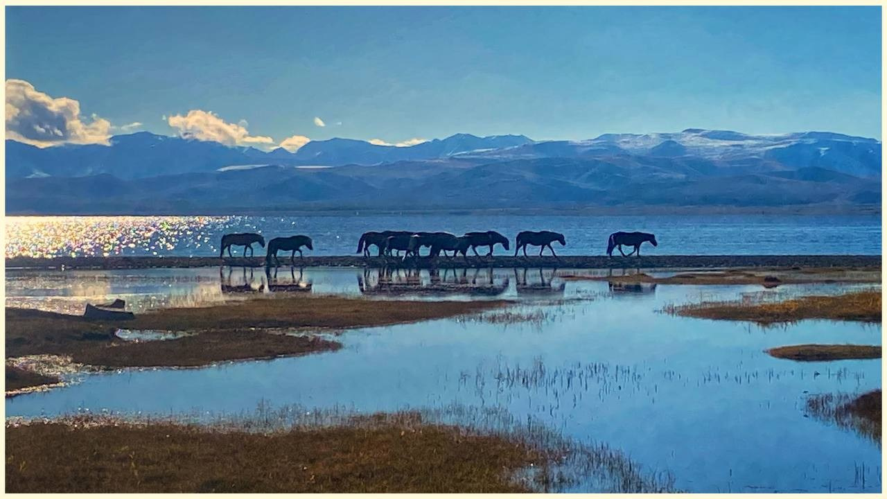 2024. Тащилин Сергей. Фотографии. Жизнь. Хобби