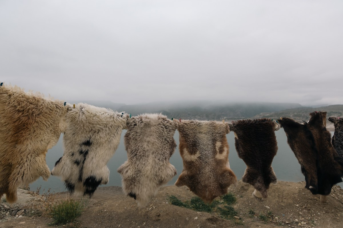 Природа. Photomantis