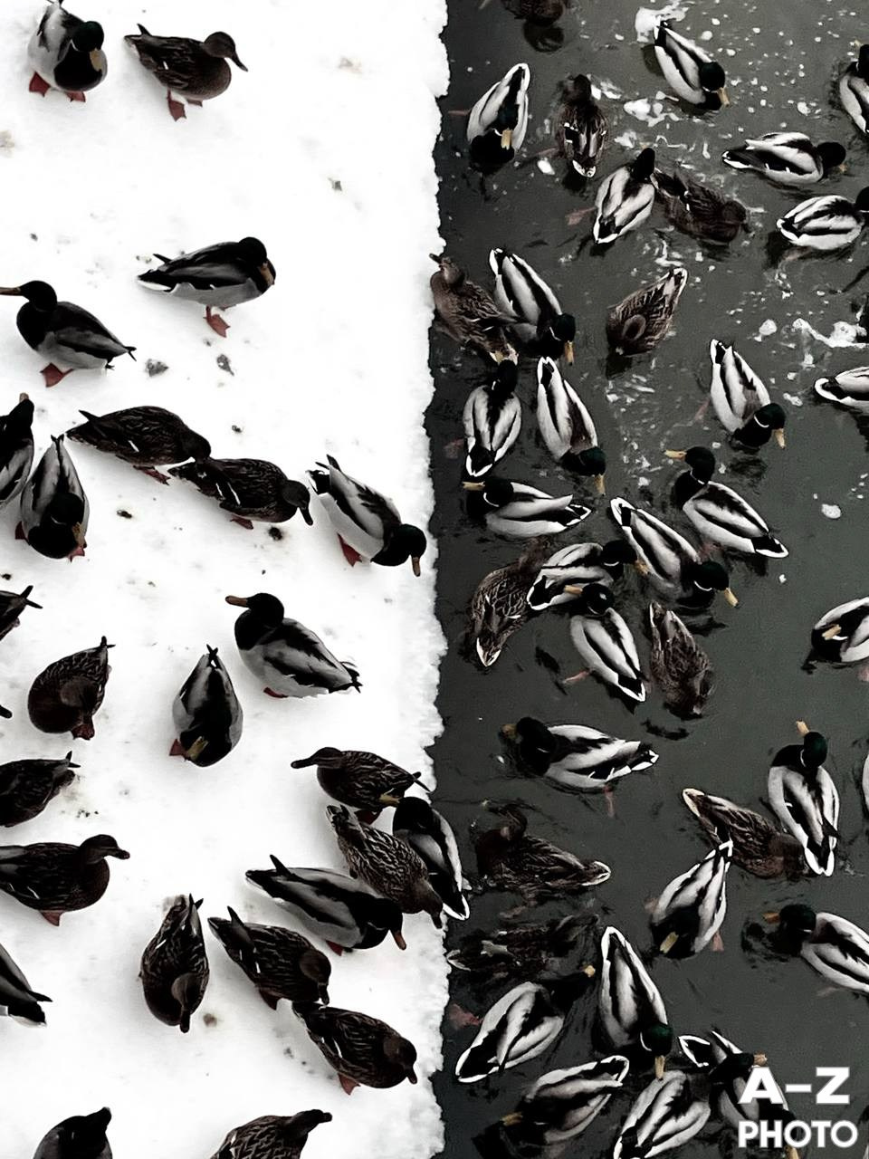 #ФОТОНЕДЕЛИ 12.01.2026. Женский семейный фотограф Тула Москва Захарова Анна