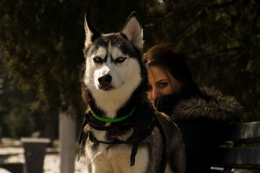 Street art. Фотостудия Алматы. Фотосъемка Алматы. Фотосессия Алматы. Фотокурсы. Обучение фотографии. Аренда студии