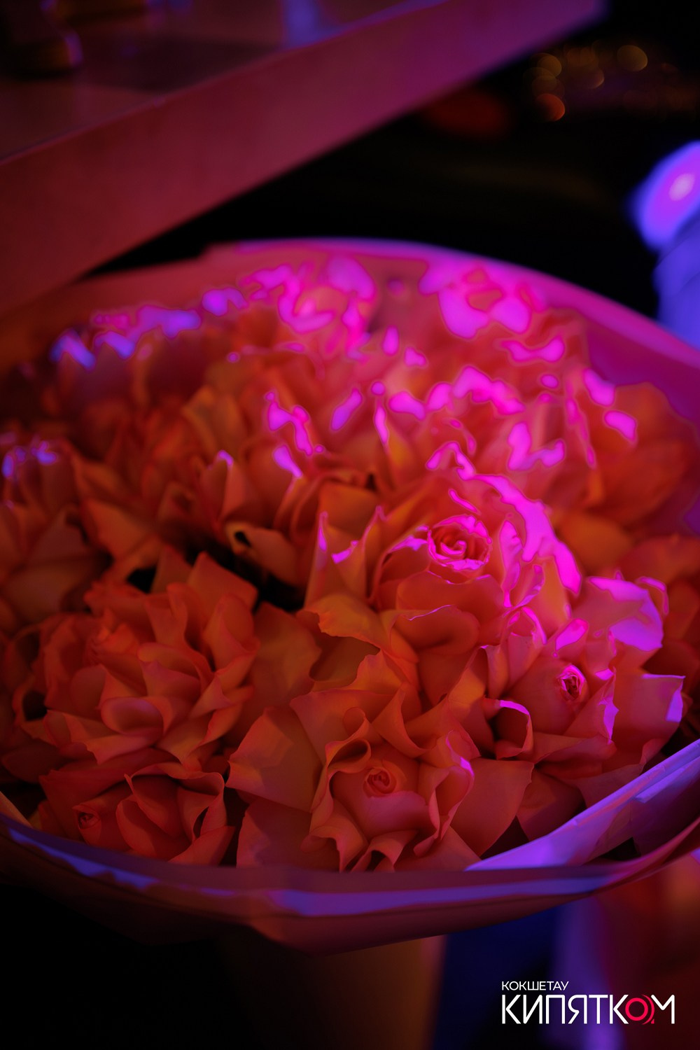 BIG MUSIC PUB. КИПЯТКОМ КОКШЕТАУ