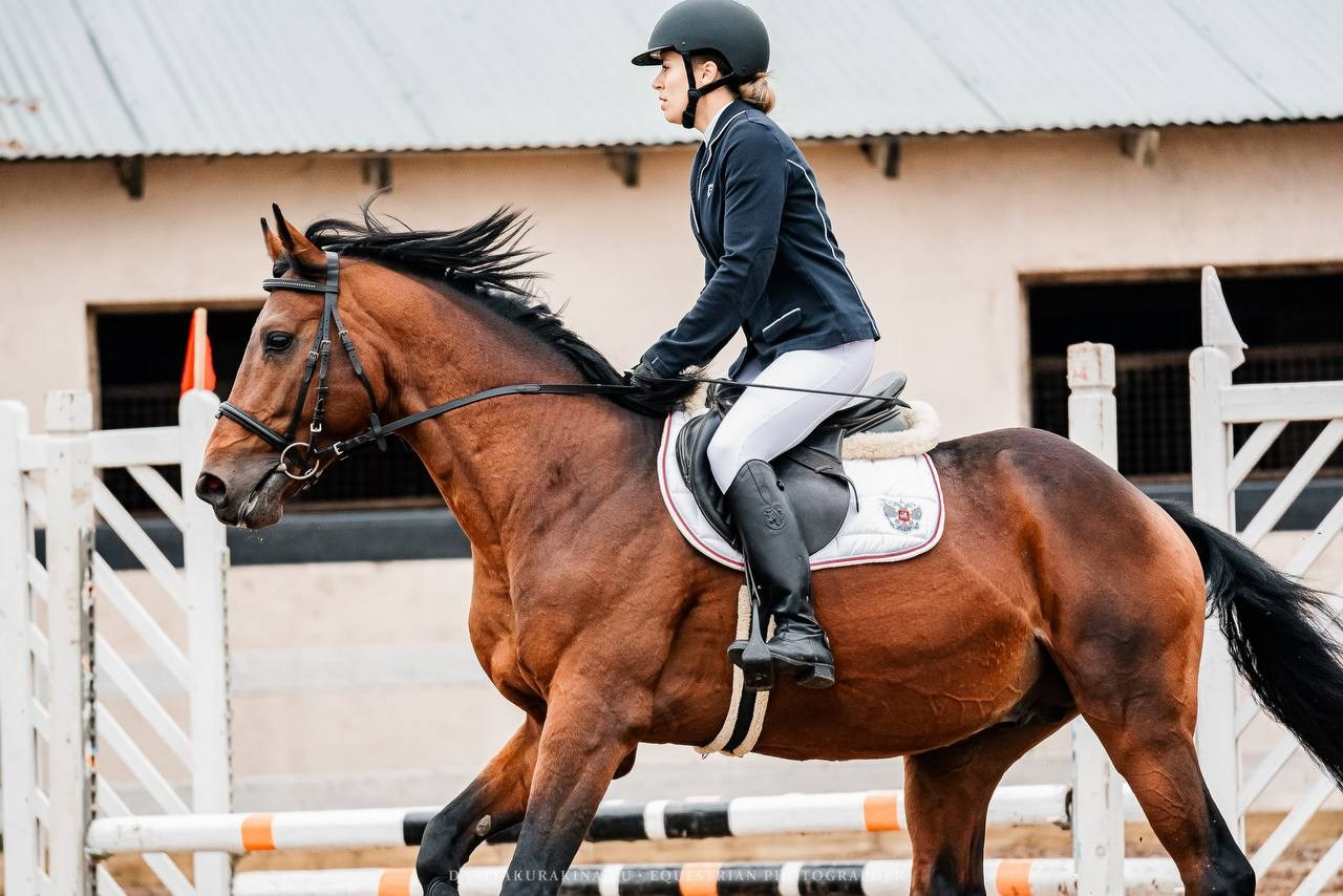 ОСЕННИЙ КУБОК КСК «СОЗВЕЗДИЕ» по КОНКУРУ. Конный фотограф Куракина Дарья • Фотосессии с лошадьми