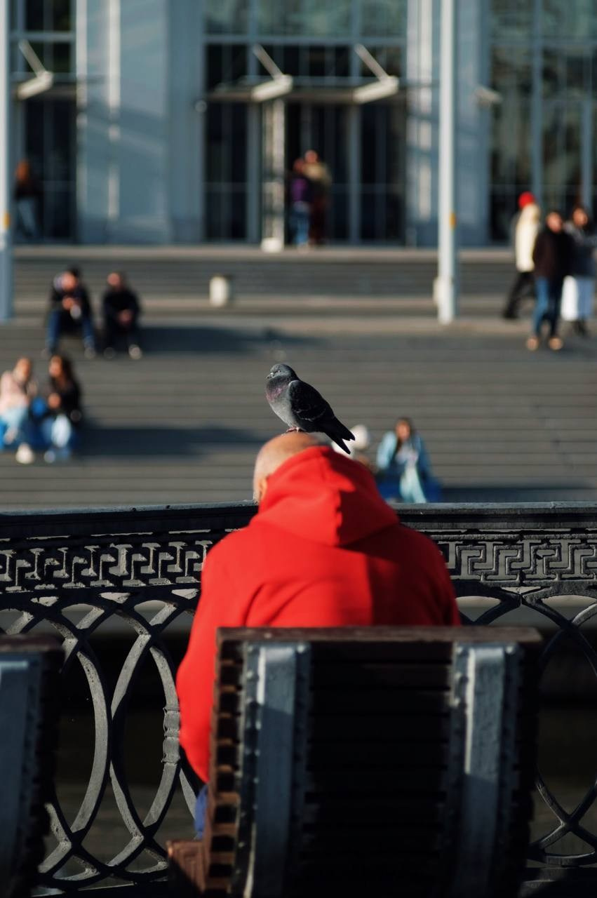 Автор: Юлианна Короткова