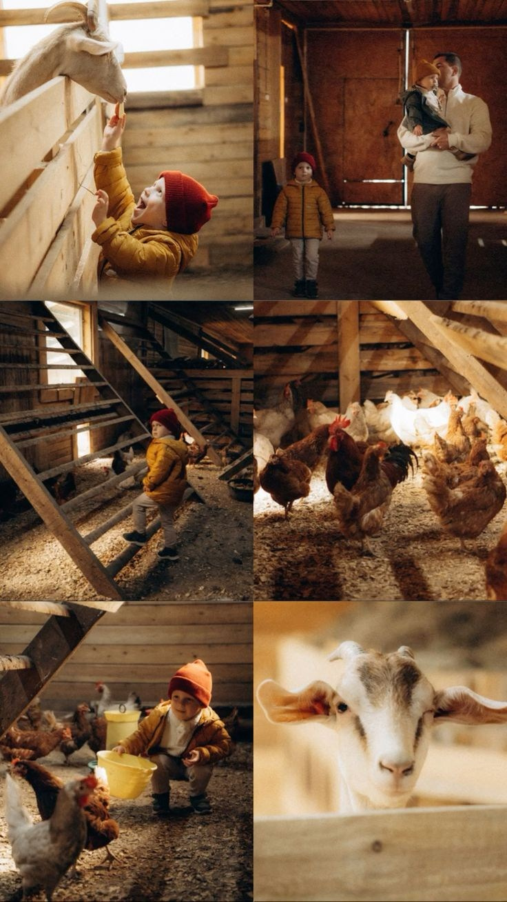 Идеи для осенней фотосессии в Санкт-Петербурге. Фотограф в Санкт-Петербурге, Анна Скворцова