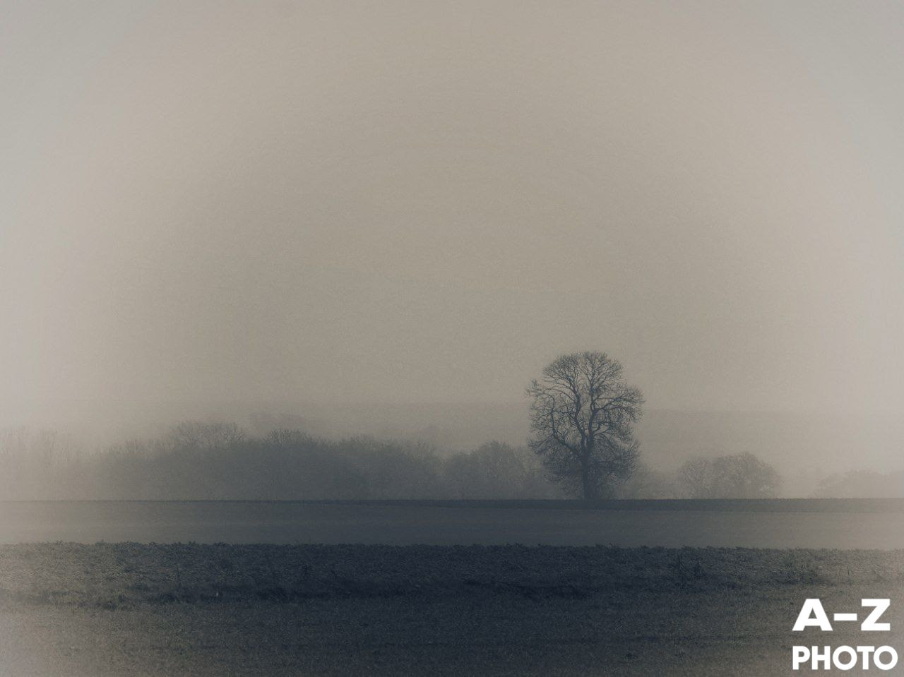 #ФОТОНЕДЕЛИ 08.12.2025. Женский семейный фотограф Тула Москва Захарова Анна