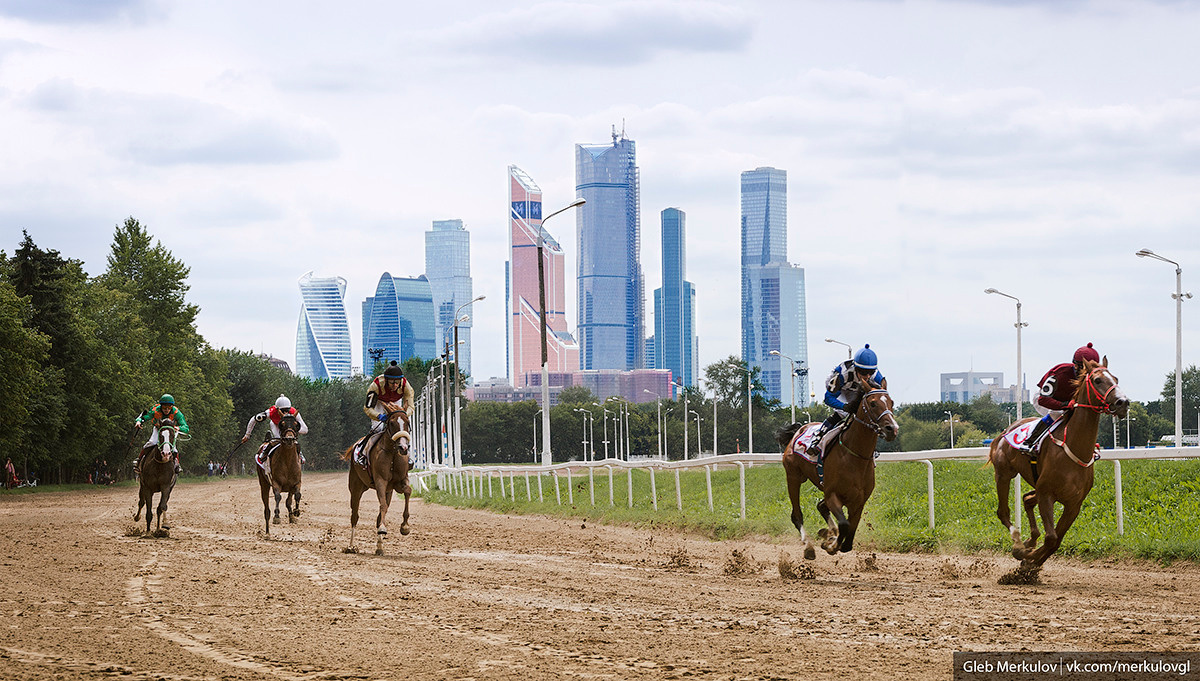 Съемка скачек на Московском Ипподроме