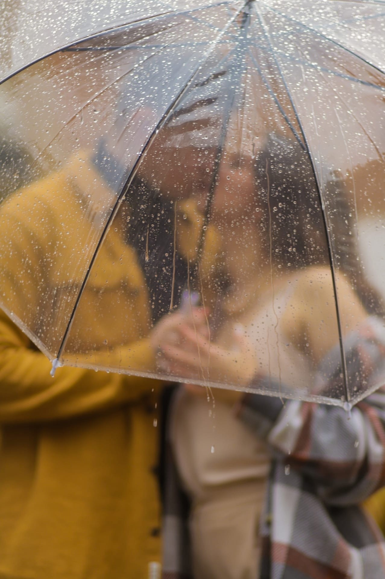 История любви/беременность. Фотограф на ваш знаменательный день Рязань, Москва.Екатерина Королькова
