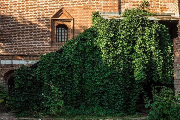 Фотосессия у исторического дома — фасад с лепниной