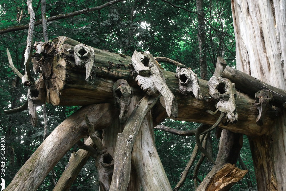 Фестиваль Архстояние. Репортажный и интерьерный фотограф Александра Солдатова