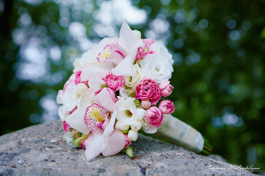 Фотограф на свадьбу в Самаре