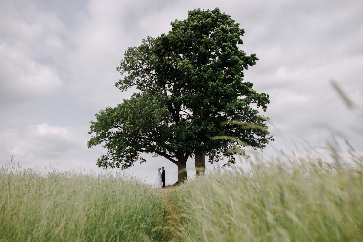 Избранные фотографии. Свадебный фотограф СПБ