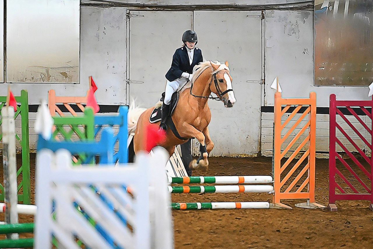 Отзывы. ТУРНИРНАЯ КОННАЯ ФОТОГРАФИЯ, Руднева Ольга и Евгений Адеев
