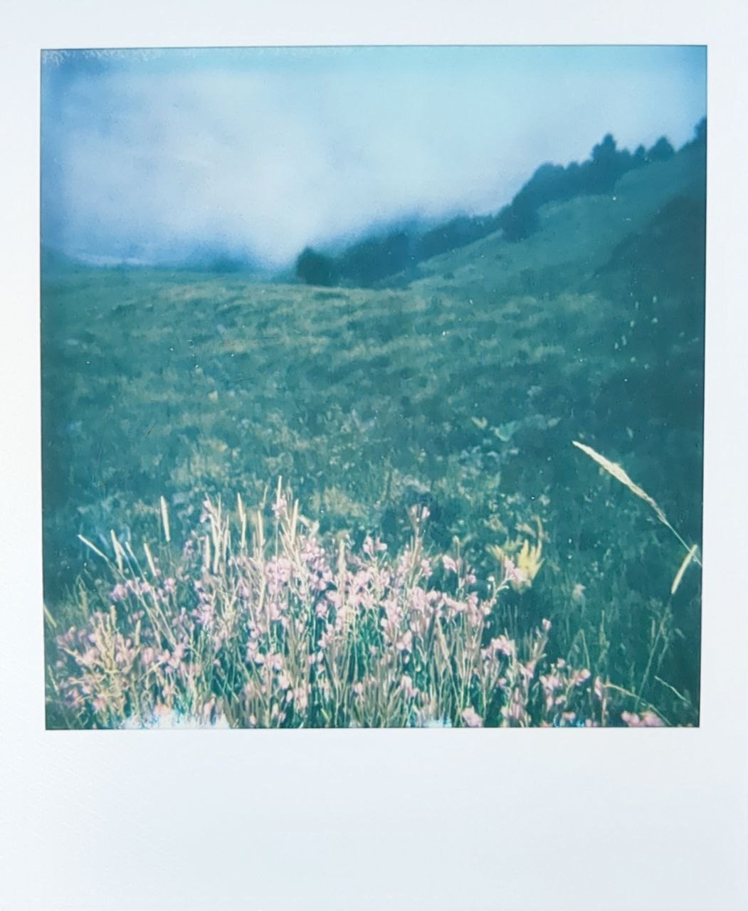 Polaroids. Ольга Лончакова, фотограф, режиссер