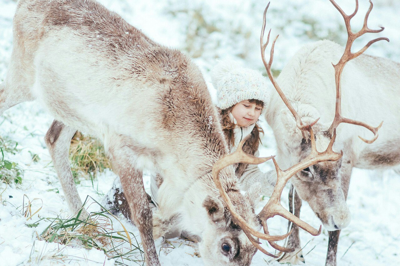 Съемка с животными в Авенсисе. Семейный и детский фотограф и видеограф в Санкт-Петербурге Веденина Юл