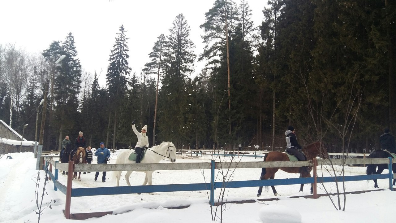Активные выходные |18-19.02.2017. Галерея Фантим