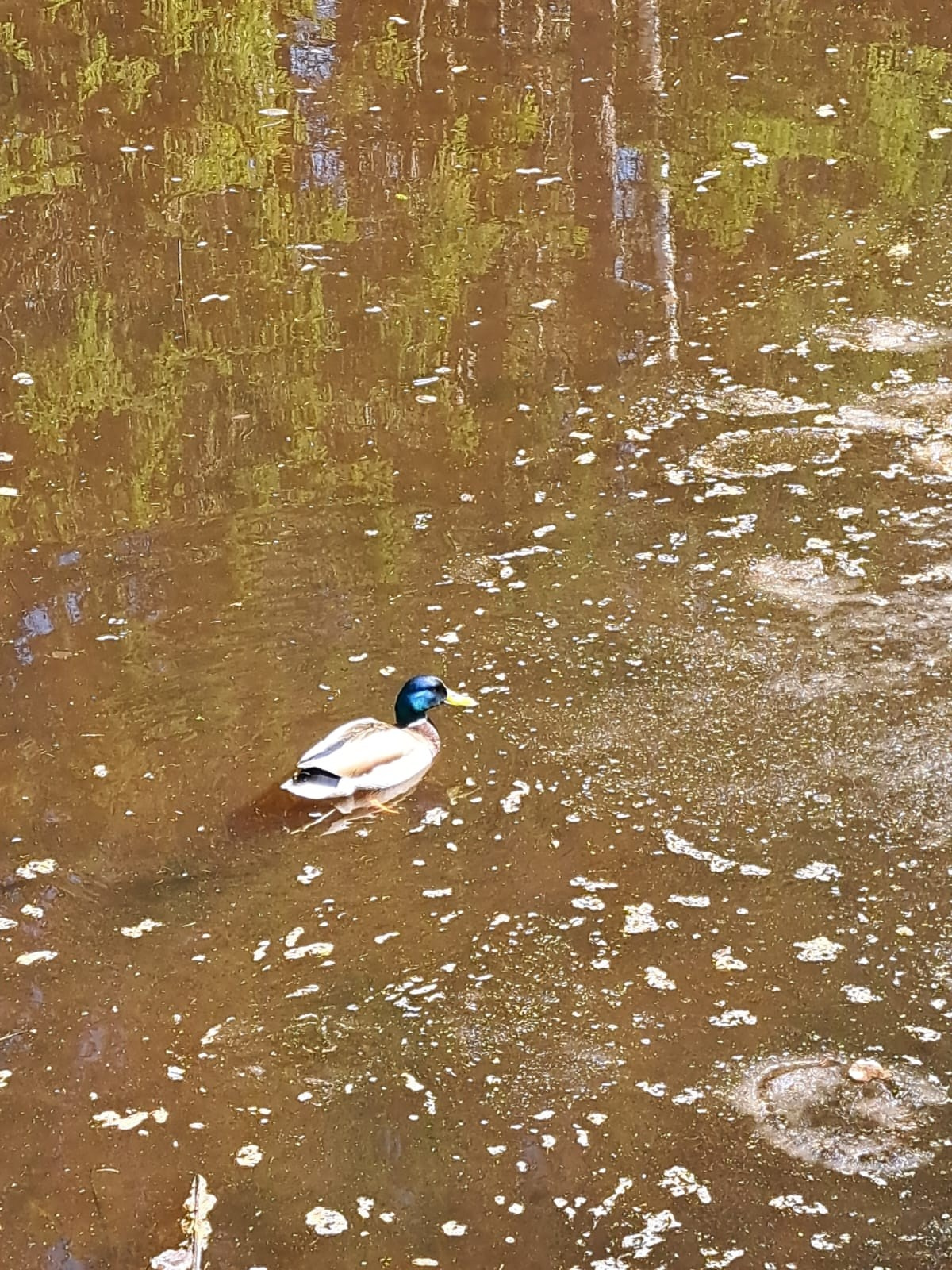 Архангельск | 08.05 — 11.05.2025. Галерея Фантим