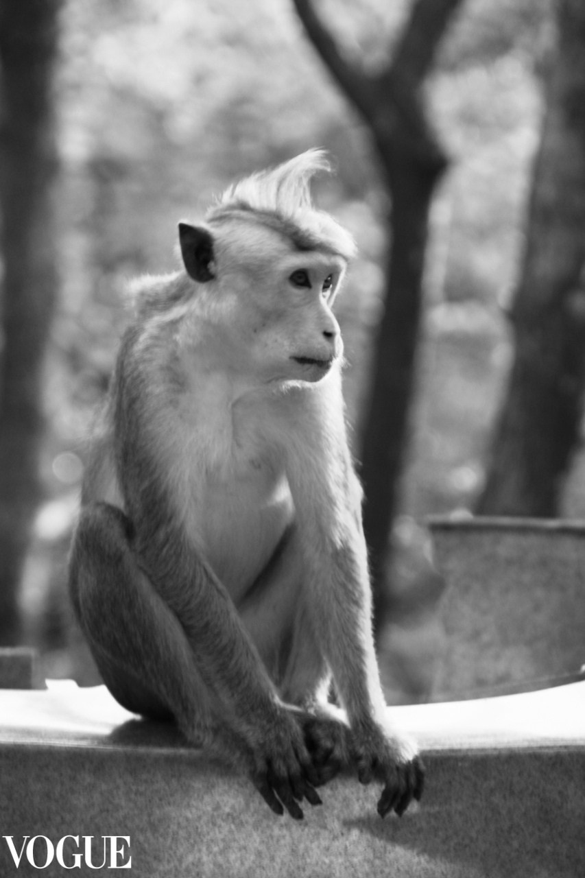 Мои публикации в журнале Vogue. Семейный и детский фотограф в Ярославле Елена Макшеева