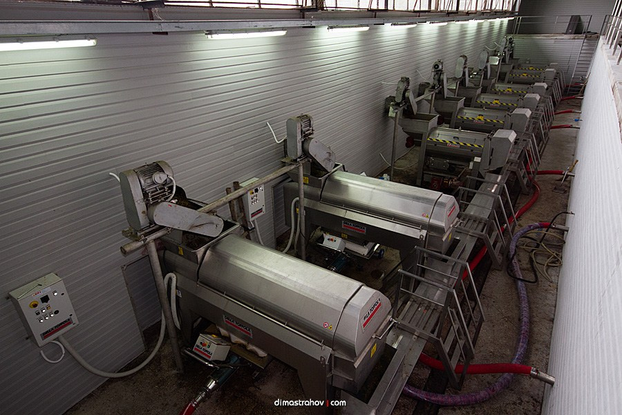 Винзавод Качинский +. Свадебный фотограф, фотосъемка в Крыму, Севастополе, Симферополе, Ялте