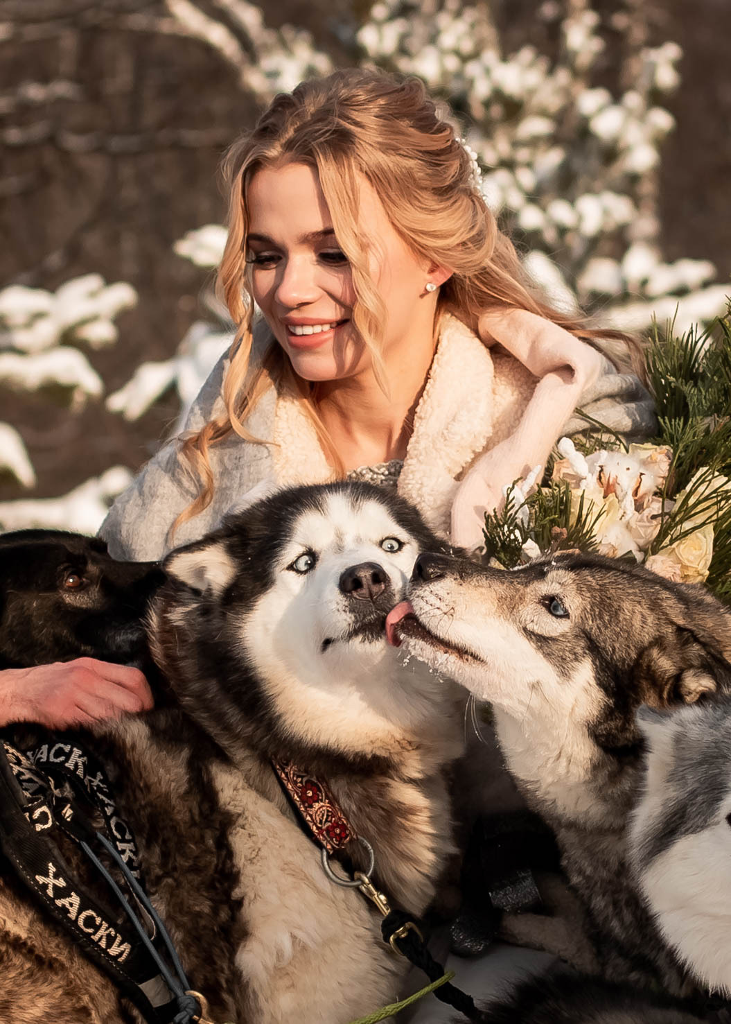 Пара с хаски. Женский свадебный и детский фотограф в Москве Юлия