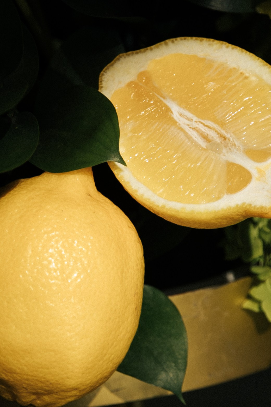 Дима и Катя. Свадебный и портретный фотограф в Минске и по всему миру Ольга Нестер