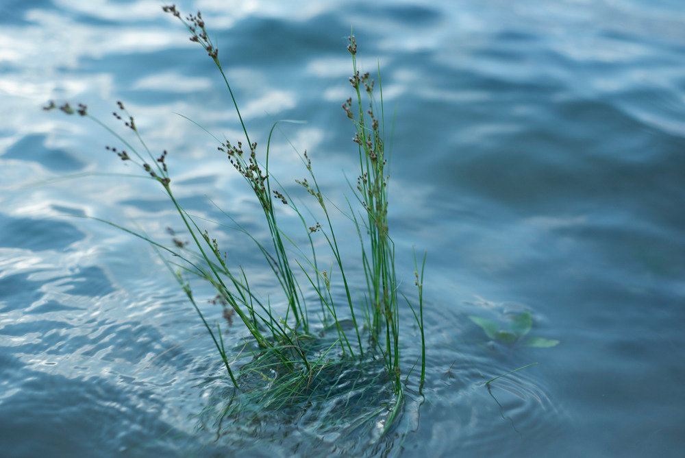 Нина. Портретный фотограф Краснодар. Ирина Чурюкина