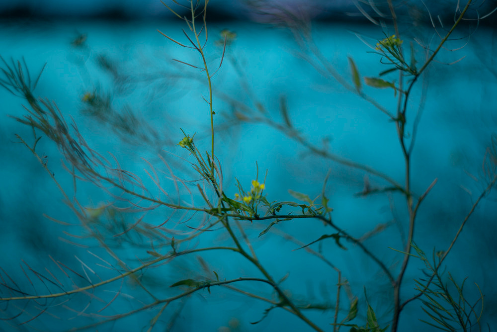 Нина. Портретный фотограф Краснодар. Ирина Чурюкина