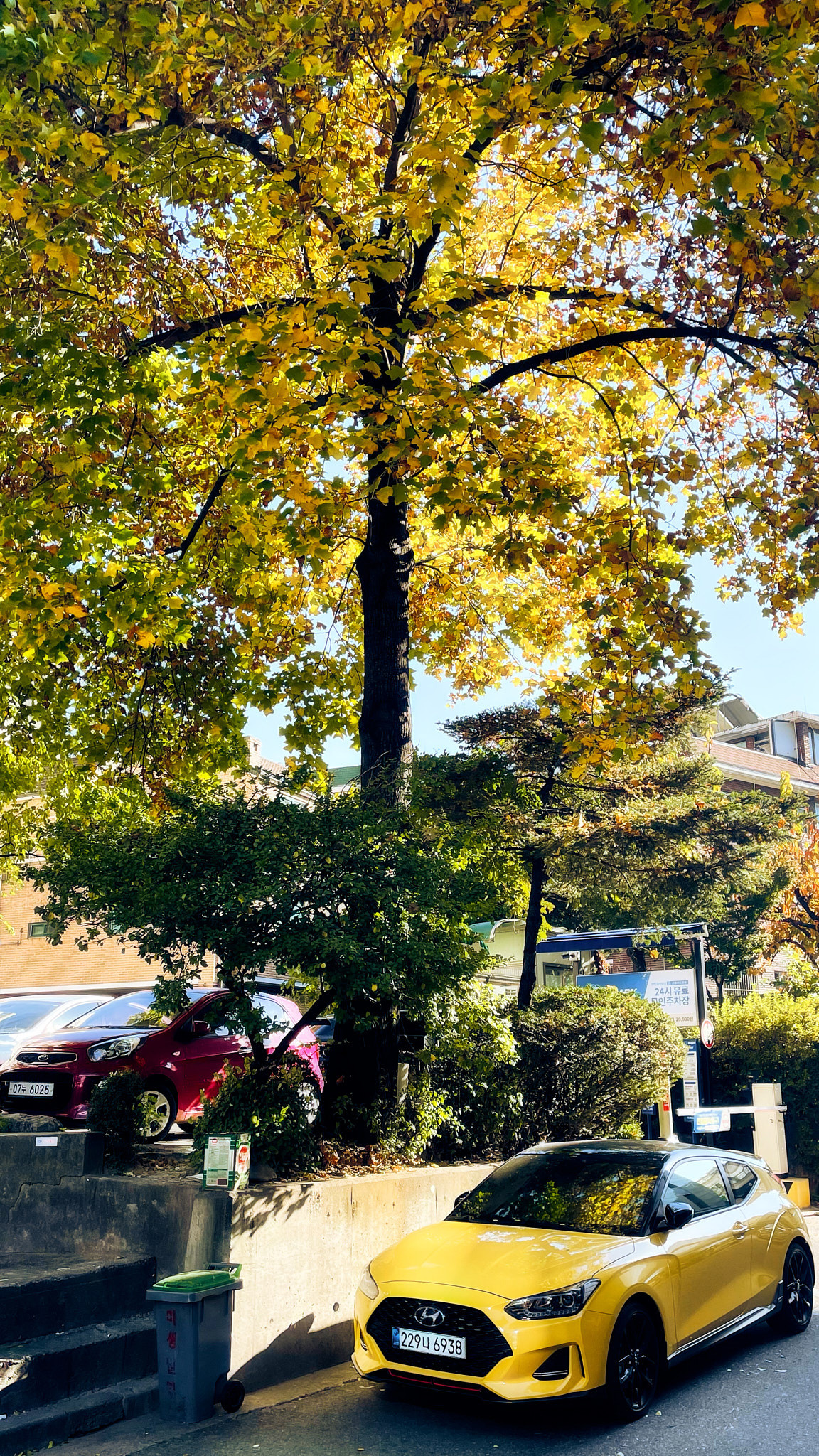 Landscapes and city. Photographer in Kaliningrad