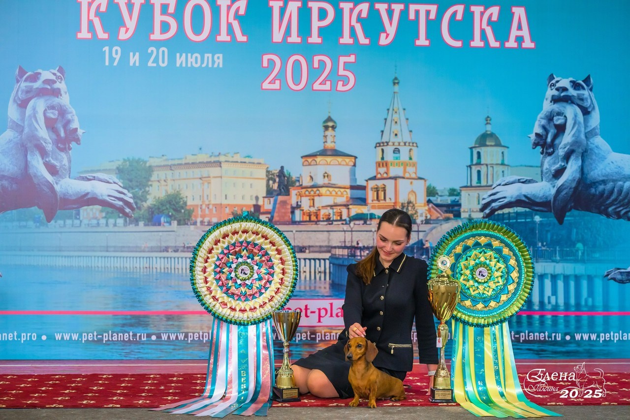 Отзывы. Фотограф анималист Елена Галдина г. Красноярск