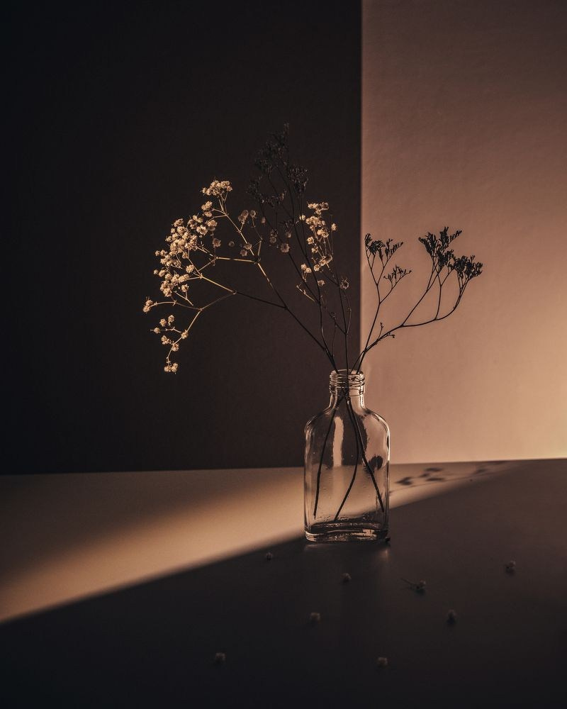 СТАКАНЫ/РЮМКИ. Фотограф для маркетплейсов Михаил Бове