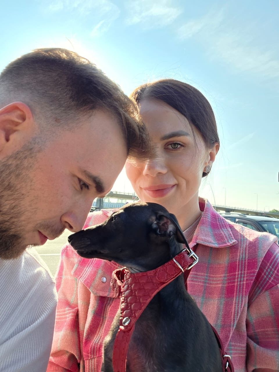 Профессиональный питомник левреток РКФ/FCI ASTI SAPPHIRE 💎 Сочи|Санкт-Петербург