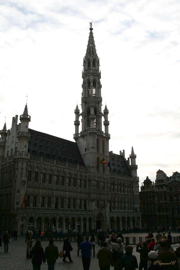 Бельгия 2009 г. Улица, люди, жизнь…