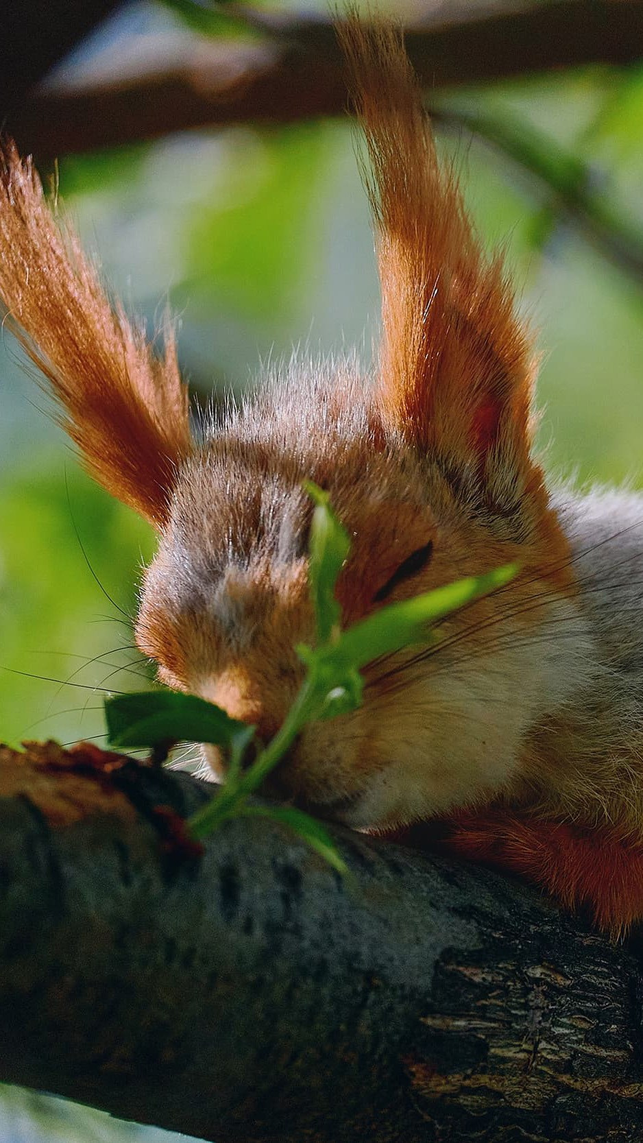 Международная онлайн-фотошкола Сергея Рожнова