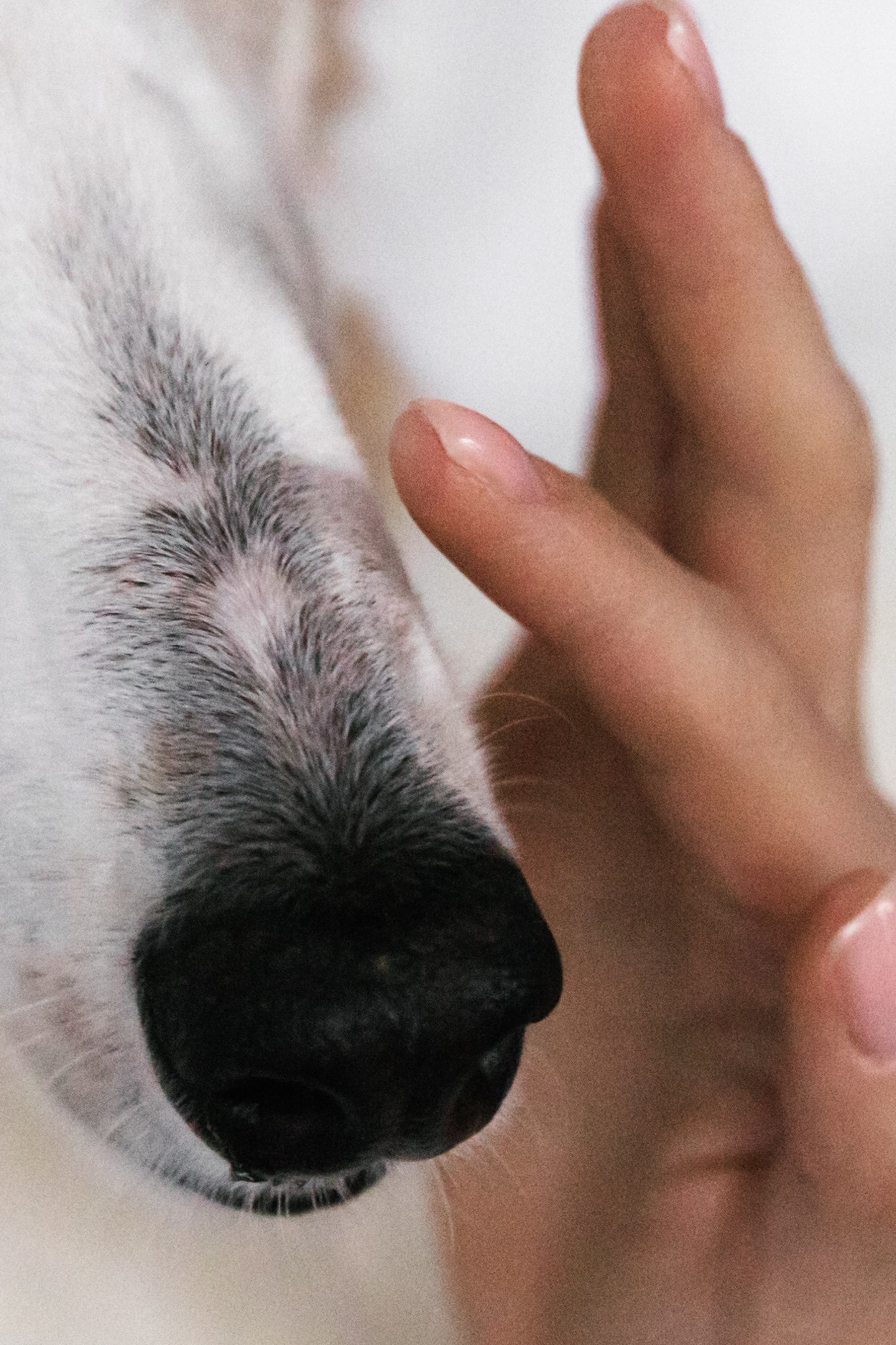 Как из пабликов. Свадебный фотограф Марьям Сайфулина г. Красноярск