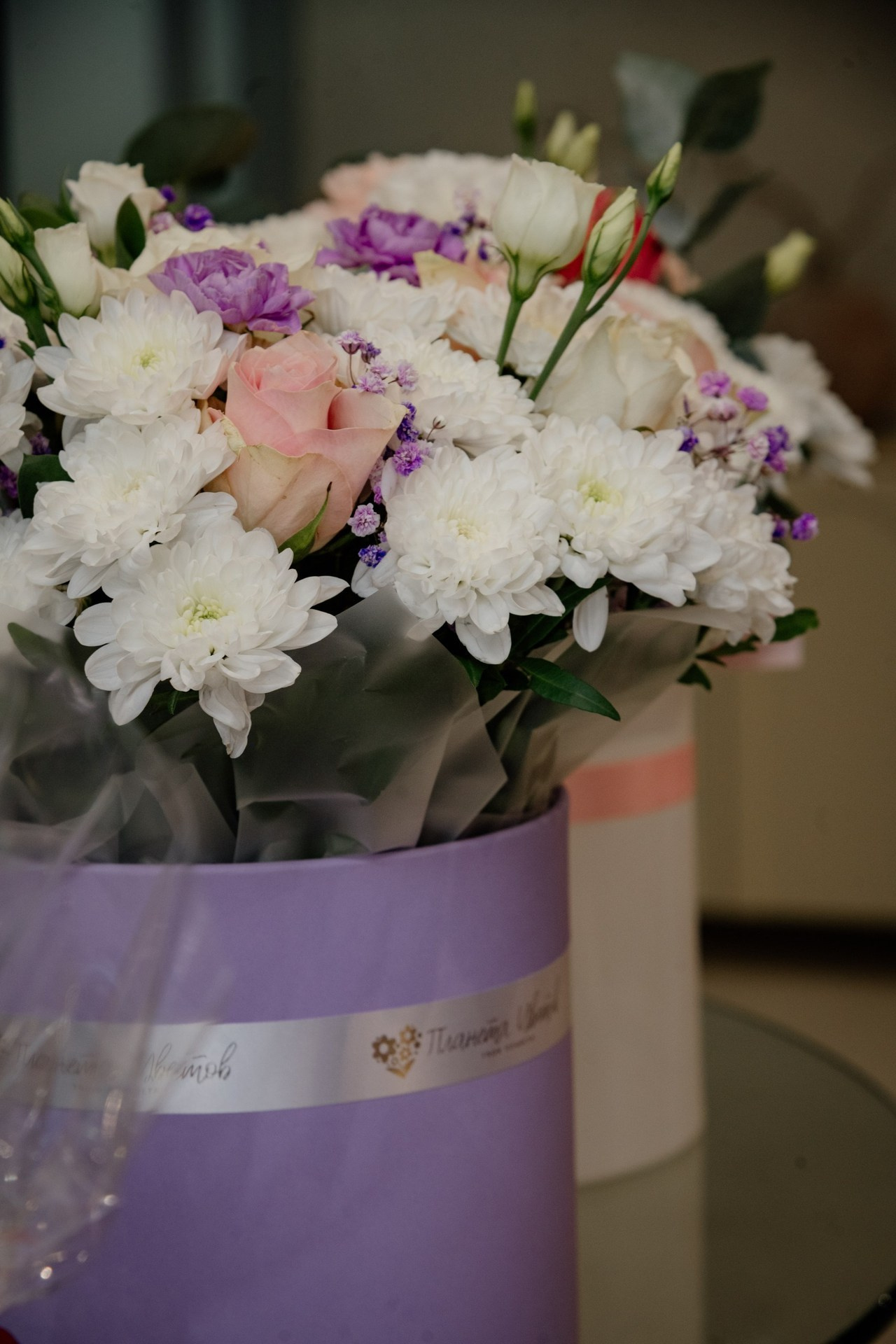 Отзывы. Фотограф Алёна Евграфова