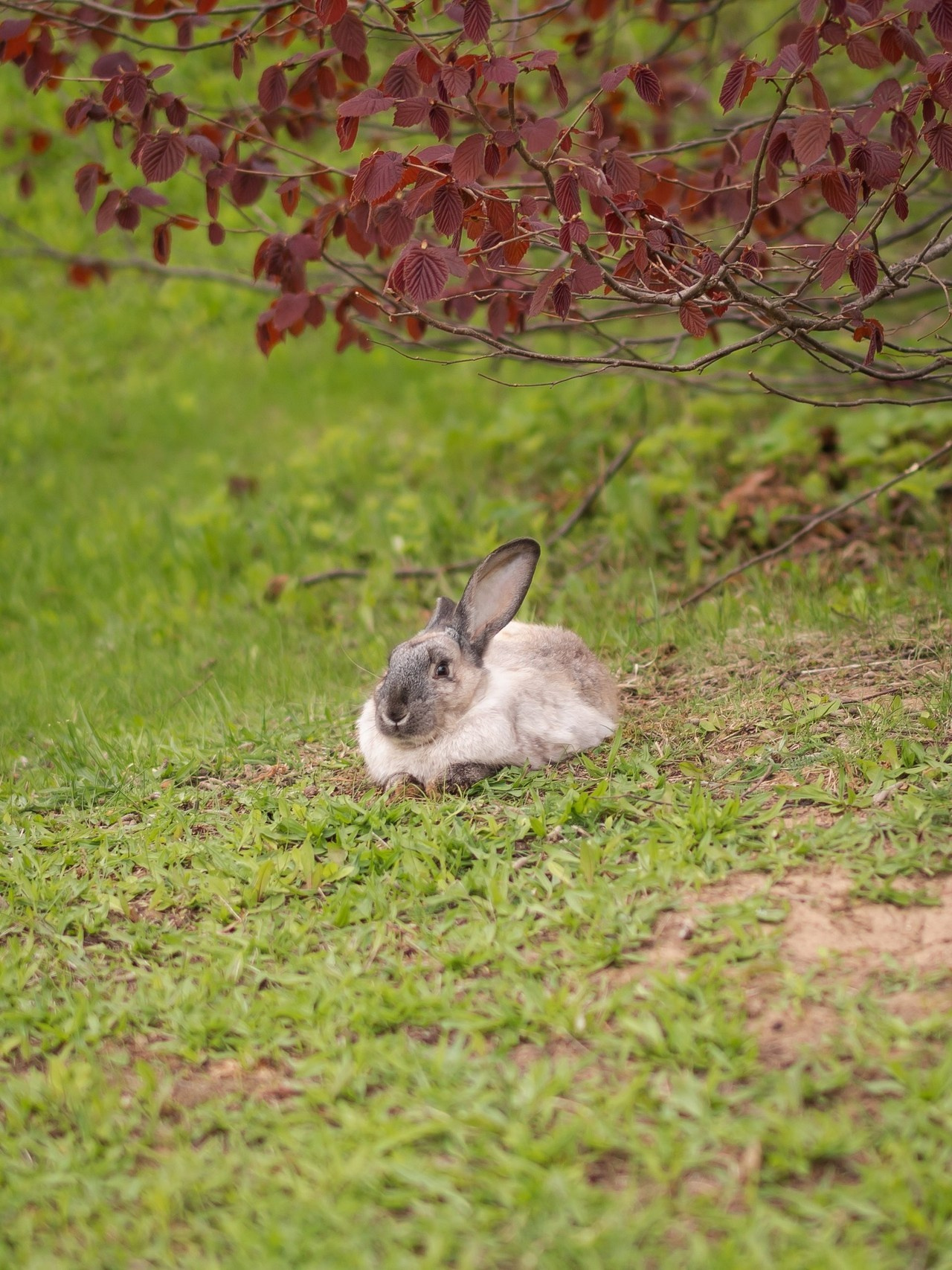 Отзывы. Фотограф Москва