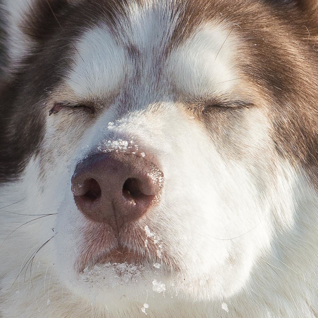 10 лет клубу Хэй-Хэй. Свадебный фотограф на Урале Виктор Соколов