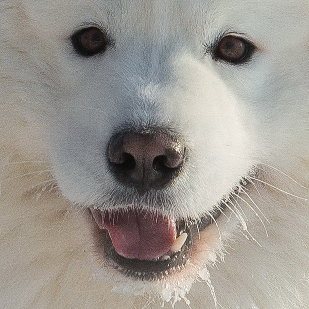 10 лет клубу Хэй-Хэй. Свадебный фотограф на Урале Виктор Соколов