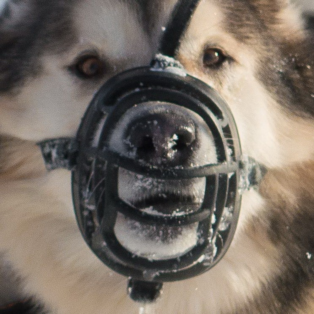 10 лет клубу Хэй-Хэй. Свадебный фотограф на Урале Виктор Соколов