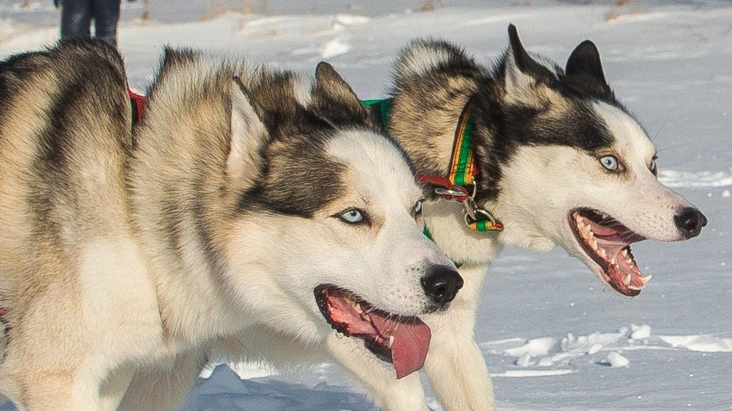 10 лет клубу Хэй-Хэй. Свадебный фотограф на Урале Виктор Соколов